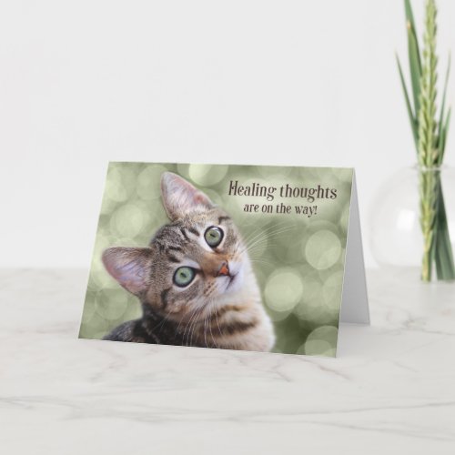 Get Well Tabby Kitten with Green Bokeh Card