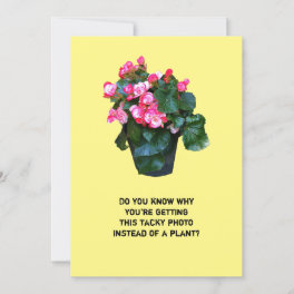 Get well tacky flowers pot, greeting card