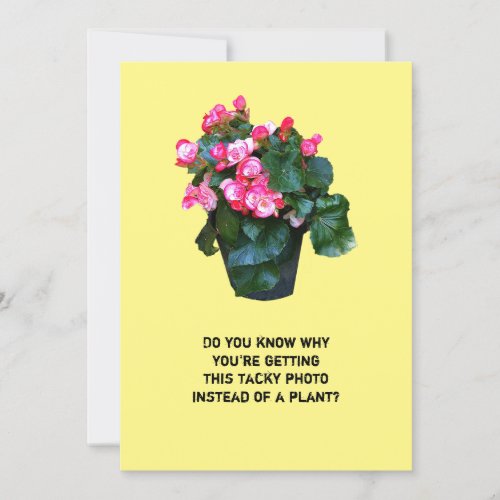 Get well tacky flowers pot greeting card