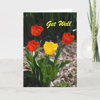 Get Well Tulips Card by bluerabbit at Zazzle