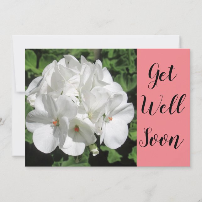 Get Well White Geranium Photography (Front)