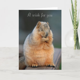 Get Well Wishes Card