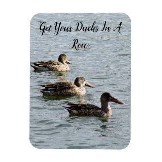 Get Your Ducks in A Row Magnet