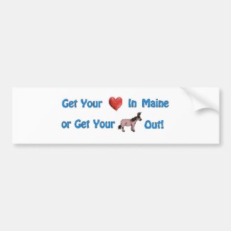 Get Your Heart in Maine ©  by Eva Viola Atwater Bumper Sticker