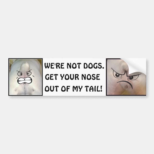 Get Your Nose Out of My Tail! Bumper Sticker (Front)