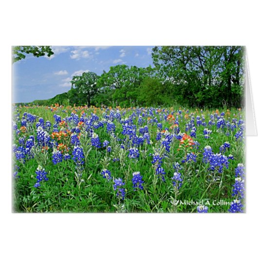Get your pillow cards (Front Horizontal)
