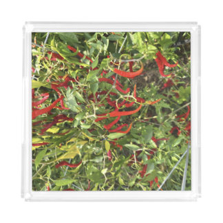 Gettin' Spicy Acrylic Tray