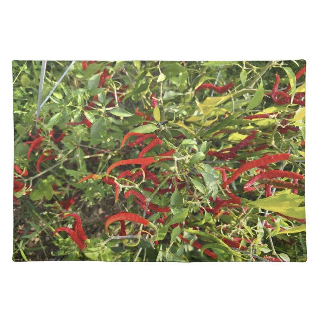 Gettin' Spicy  Cloth Placemat (Front)