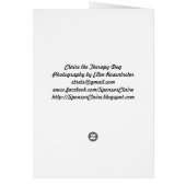 Getting Better Yet? (Back)