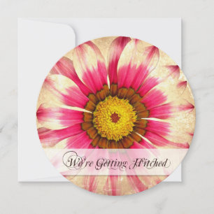 Getting Hitched Pink Daisy Round Wedding Invites