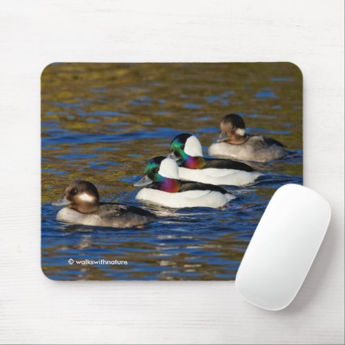 Getting My Ducks in a Row Four Buffleheads Mouse Pad