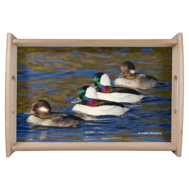 Getting My Ducks in a Row: Four Buffleheads Serving Tray (Front)