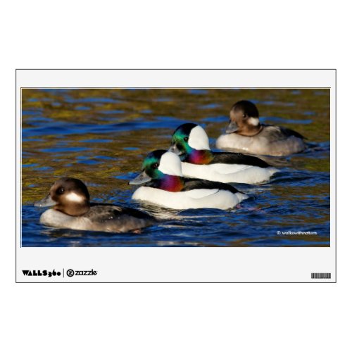 Getting My Ducks in a Row Four Buffleheads Wall Decal