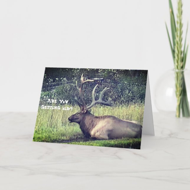 "Getting Old" Birthday Card (Front)