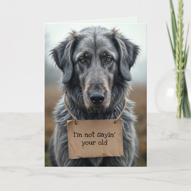 Getting Old Gray Dog with Cardboard Sign Card (Front)