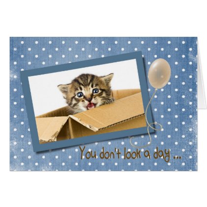 getting older birthday with cat in box card