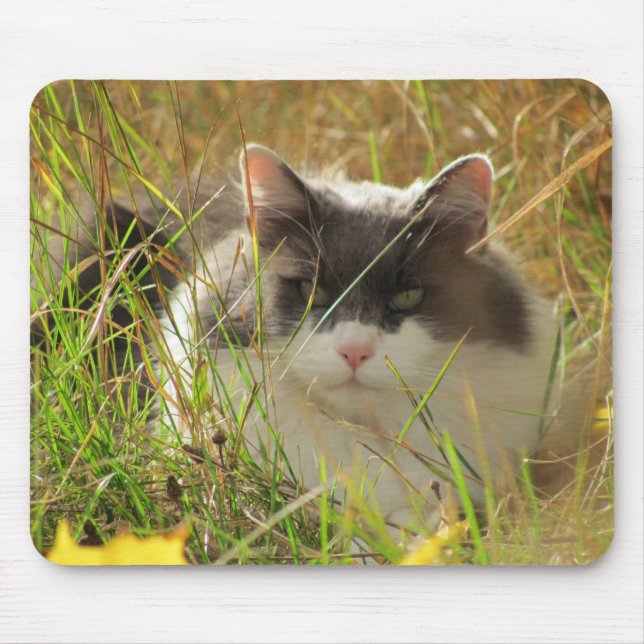 Getting some sun. mouse pad (Front)