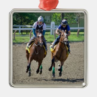 Getting Up in Saratoga Metal Ornament