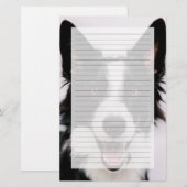 Getty Images | A Smiling Border Collie (Front/Back)