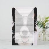 Getty Images | A Smiling Border Collie (Standing Front)