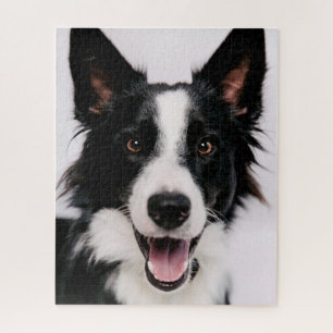 Getty Images A Smiling Border Collie Jigsaw Puzzle