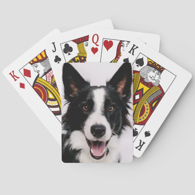 Getty Images | A Smiling Border Collie Poker Cards (Back)