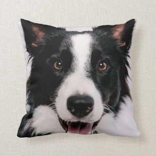 Getty Images A Smiling Border Collie Throw Pillow