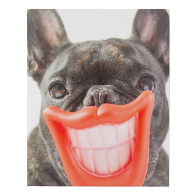 Getty Images | A Smiling Dog Faux Canvas Print (Front)