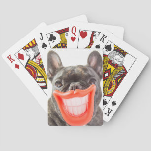 Getty Images A Smiling Dog Poker Cards