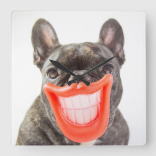 Getty Images   A Smiling Dog Square Wall Clock