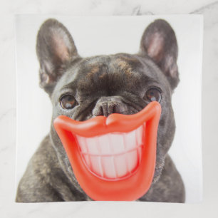 Getty Images   A Smiling Dog Trinket Tray