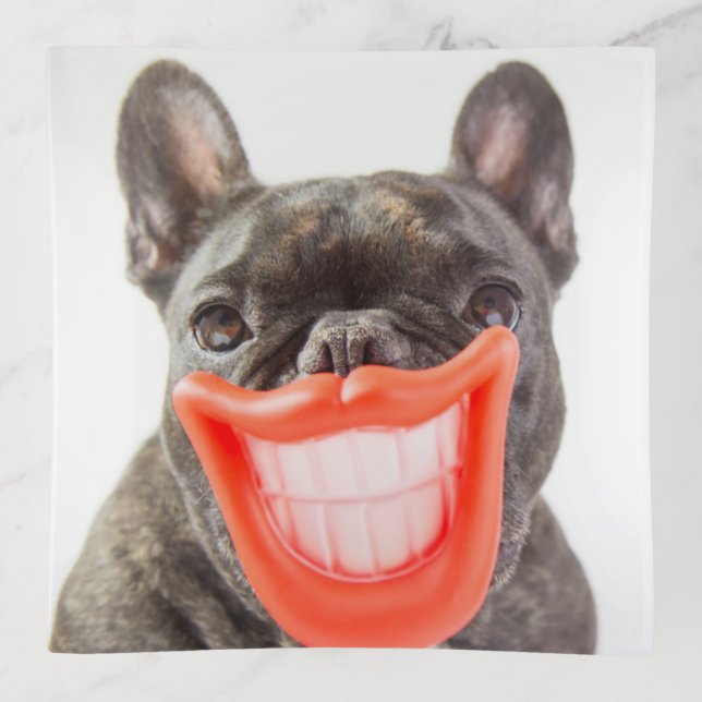 Getty Images | A Smiling Dog Trinket Tray (Front)