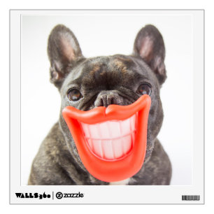 Getty Images A Smiling Dog Wall Decal