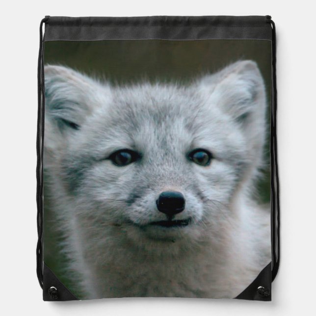 Getty Images | Arctic Fox Kit Drawstring Bag (Front)