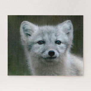 Getty Images   Arctic Fox Kit Jigsaw Puzzle