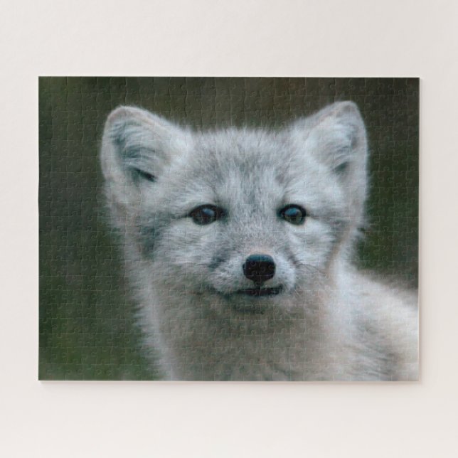 Getty Images | Arctic Fox Kit Jigsaw Puzzle (Horizontal)