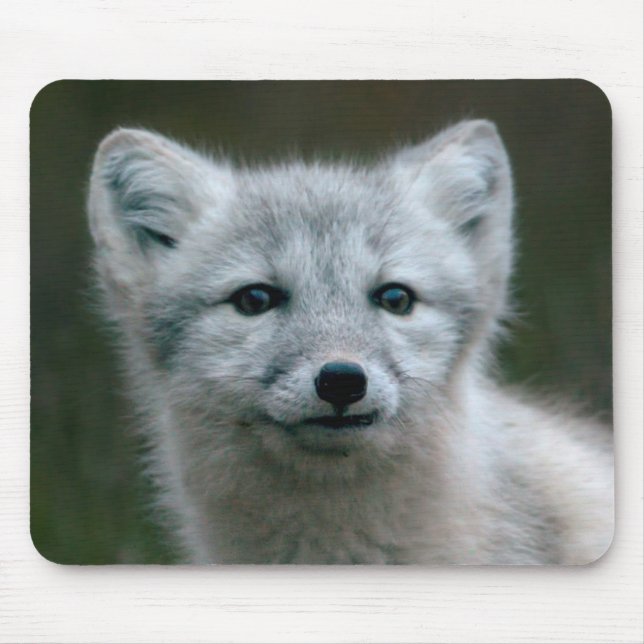 Getty Images | Arctic Fox Kit Mouse Pad (Front)