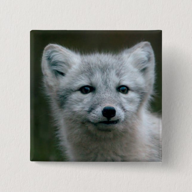 Getty Images | Arctic Fox Kit Pinback Button (Front)