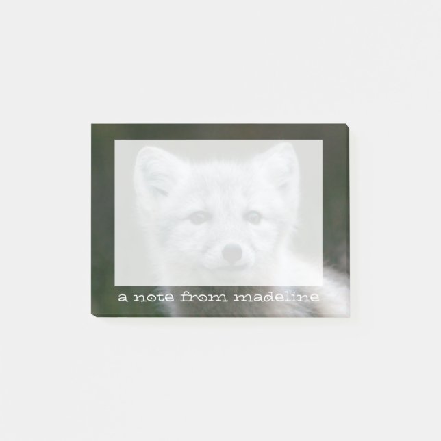 Getty Images | Arctic Fox Kit Post-it Notes (Front)