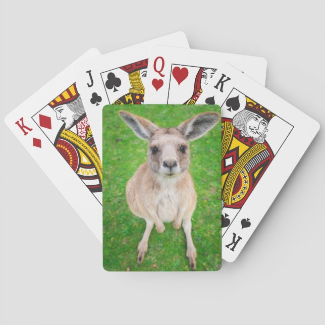 Getty Images | Baby Kangaroo Poker Cards (Back)