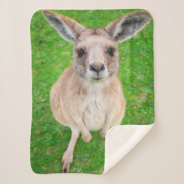 Getty Images | Baby Kangaroo Sherpa Blanket (Front)