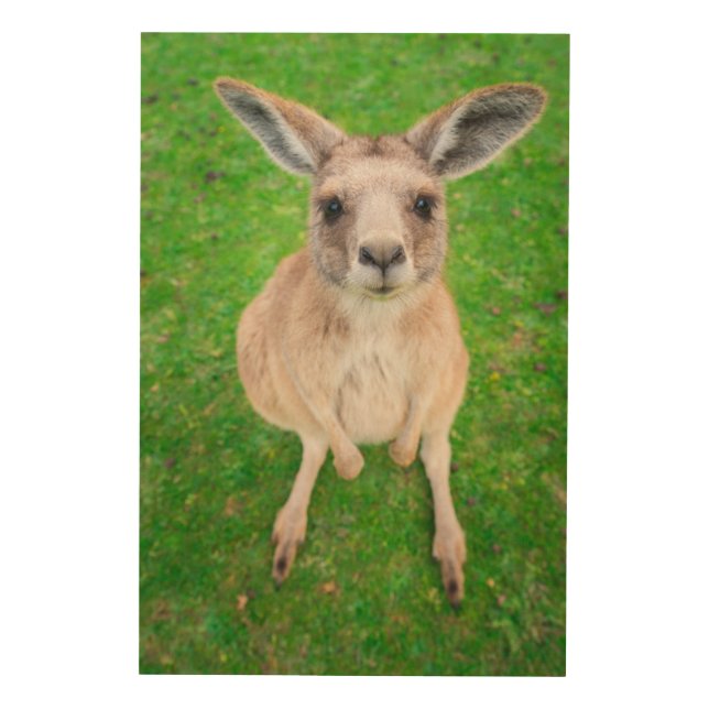 Getty Images | Baby Kangaroo Wood Wall Decor (Front)