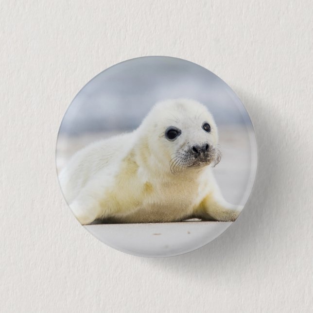 Getty Images | Baby Seal Button (Front)