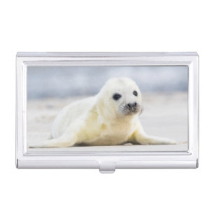 Getty Images   Baby Seal Case For Business Cards
