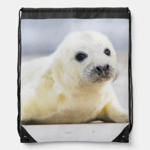 Getty Images   Baby Seal Drawstring Bag