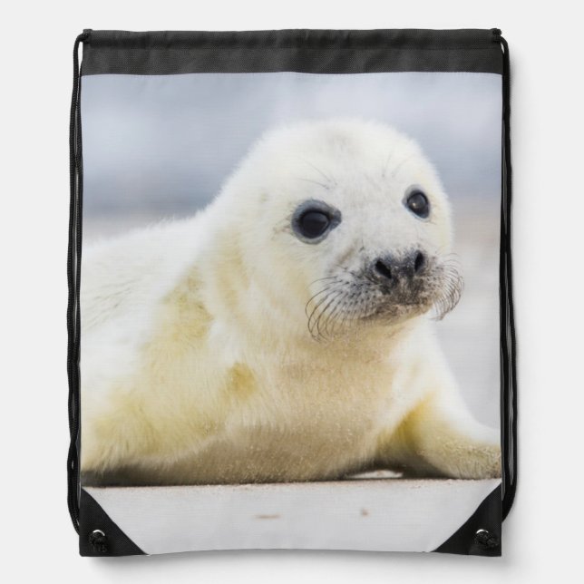 Getty Images | Baby Seal Drawstring Bag (Front)