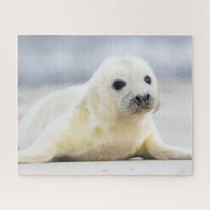 Getty Images Baby Seal Jigsaw Puzzle