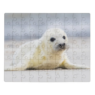 Getty Images Baby Seal Jigsaw Puzzle