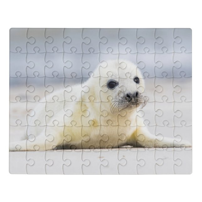 Getty Images | Baby Seal Jigsaw Puzzle (Puzzle Horizontal)