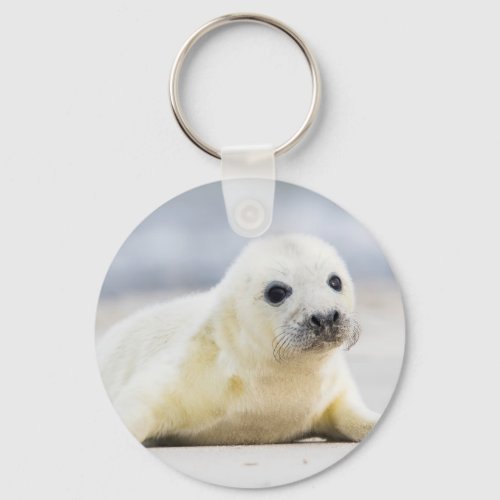 Getty Images  Baby Seal Keychain